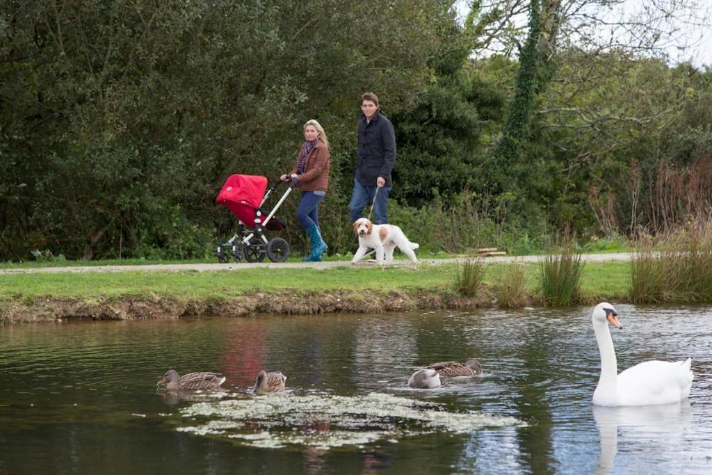 Skylark Sleeps 8 Private Hot Tub & Dogs Welcome Nr Padstow, Resort Pool Bar & Watersports St Columb Major Buitenkant foto